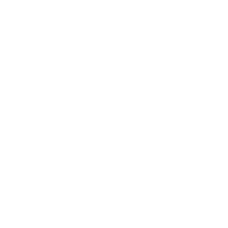 Customer Review Icon